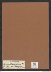 Coscinodiscus concinus var. jonesianus (Grev.) Rattr. (de-Toni-Nr.: Genus 202, Species 5002) Zeichnungen Sammlung Grunow Mappe 04811 (Herbarium_W_Grunow_drawings_Folder_04811)
